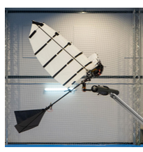 Topological mapping for lightweight flapping robot prospective application