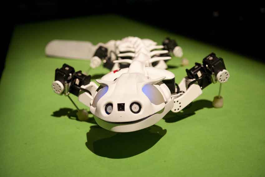 Bio-inspired robot prospective application