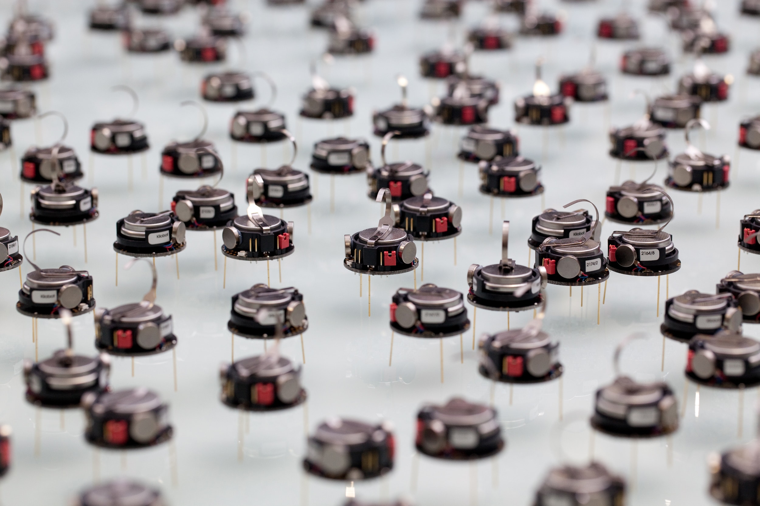 Swarm robot prospective application